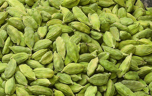 Green Cardamom export