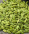 Cardamom