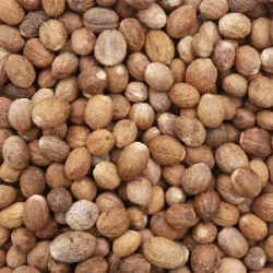 organic-nutmeg-whole-culinary-herb (1)